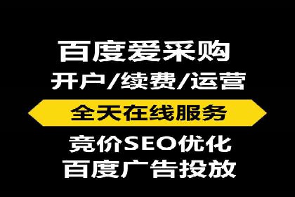 行业标杆：SEM托管公司案例解析